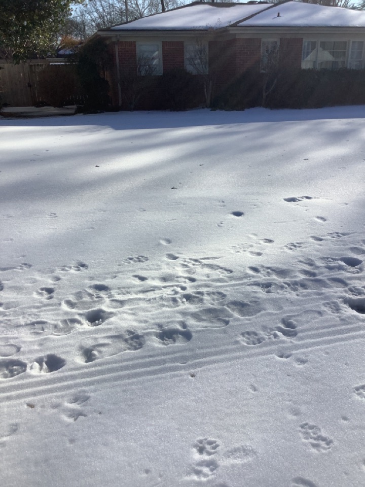 Hvac heat furnace maintenance tuneup repair 