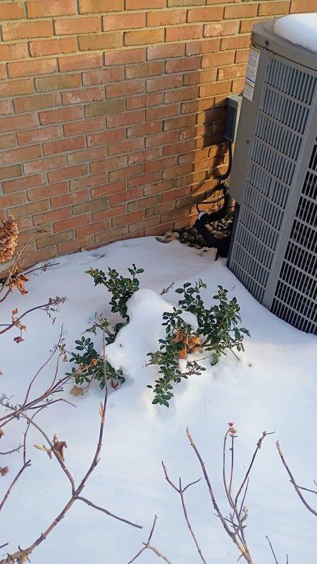 Performed inspection of customer's HVAC system to evaluate indoor air quality (IAQ) improvement options. Assessed existing equipment including outdoor condensing unit and interior components. Provided customer with quotation for polarized media filtration systems and other IAQ enhancement solutions as requested.