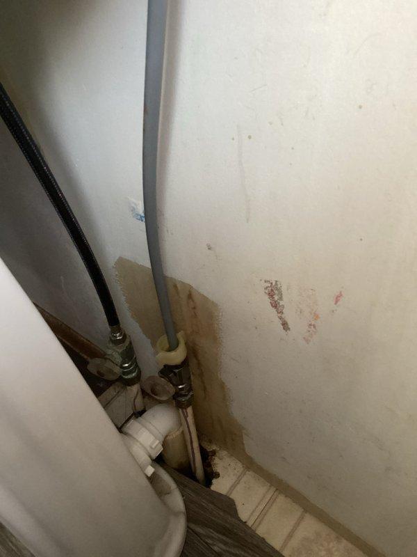 Disconnected old water supply hoses and installed new connections to customer's pedestal sink in an 85-year-old home. Addressed visible water damage on the wall behind the fixture and ensured proper sealing of all connections to prevent future leakage.