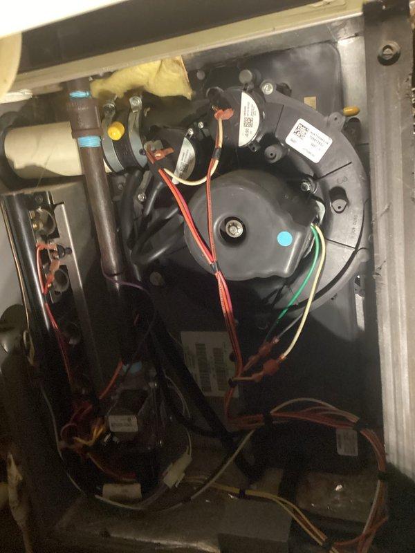 Conducted annual Gold Level maintenance on a 5-year-old HVAC system. Inspected circuit board and electrical connections, finding all components in normal working condition with no signs of damage or wear. Examined blower motor assembly and verified proper operation of all mechanical components.