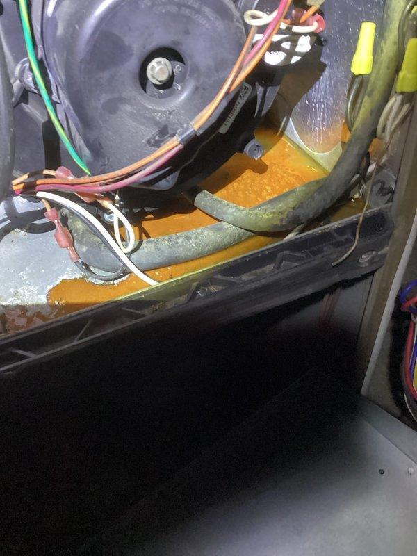 Responded to service call for CO2 detector inspection after client reported intermittent beeping. Examined detector functionality and performed diagnostic testing. Unit appears to be operating correctly with no signs of malfunction or dangerous CO2 levels present; advised client on normal operation patterns and warning signals.