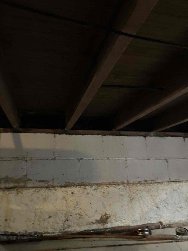 Conducted site assessment for potential HVAC replacement in basement utility area. Inspected existing ductwork system and evaluated current installation space with unfinished ceiling joists and concrete block walls. Noted potential moisture concerns on lower wall sections that may require remediation before new system installation. Photos taken to document current conditions for proper system sizing and installation planning.