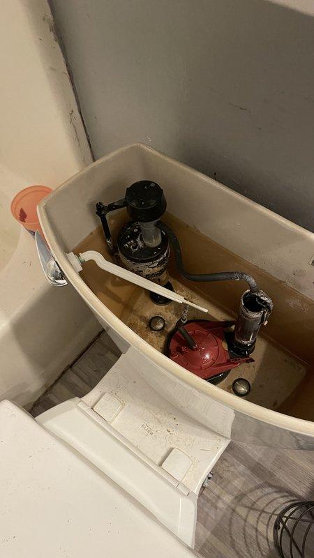 Responded to emergency call for water intrusion in utility area affecting water heater and plumbing infrastructure. Upon arrival, found extensive flooding with contaminated water and debris throughout the space, indicating a significant pipe failure or burst line. Shut off main water supply to prevent further property damage. Assessed plumbing assembly including multiple connection points, valves, and pressure relief components for source of leak. Documented severe water damage to flooring and surrounding area with thick sediment accumulation. Inspected secondary plumbing fixtures including toilet tank which showed signs of water quality issues with discolored water and mineral buildup in fill valve and flush valve assemblies. Cleared immediate water hazard and identified compromised piping requiring replacement. Provided recommendations for water extraction, structural drying, and complete pipe repair to restore system integrity and prevent future failures.