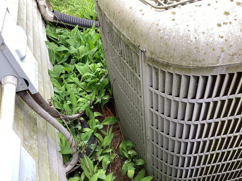 Completed scheduled HVAC membership maintenance on Carrier air conditioning condenser unit, including capacitor replacement as previously recommended and humidifier pad replacement (#35). Performed comprehensive system inspection, verified proper operation of all components, and documented equipment condition with exterior showing normal weathering but unit functioning within manufacturer specifications.