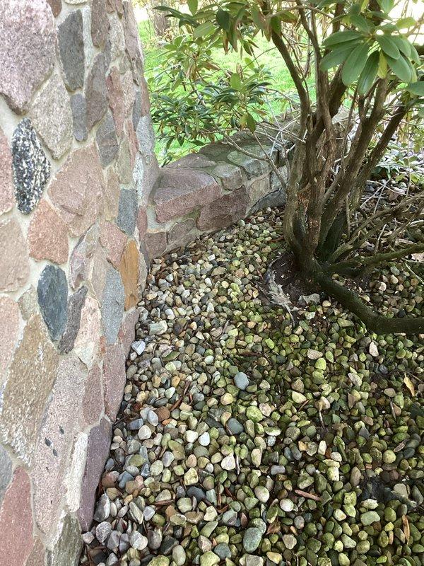 Responded to drainage line leak in lower level of 25-year-old residential property discovered after extended homeowner absence. Upon inspection, located leak in PVC drainage system installed along basement foundation wall. Repaired compromised drainage line section and verified system integrity through pressure testing. Confirmed no additional leaks present elsewhere in the plumbing system throughout the property.