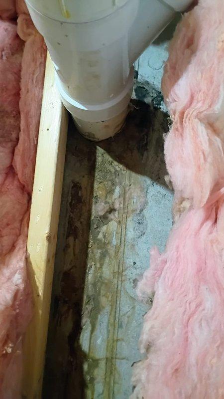 Responded to basement water leak complaint involving pipe penetration through foundation wall. Upon inspection, identified active leak at pipe seal where plumbing line passes through wall cavity between floor joists. Documented conditions showing PVC drainage pipe running vertically through wooden framing with visible moisture damage, discoloration, and staining on surrounding wood framing members and insulation materials. Evidence of water intrusion observed with brownish-gray staining and greenish-blue discoloration on backing materials and insulation, indicating ongoing moisture exposure. Photographed compromised pipe seal, damaged insulation, and affected structural components for assessment. Water supply remained active during initial inspection to verify leak source and extent of damage.