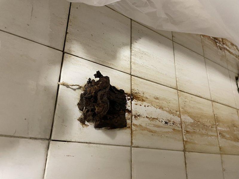 Responded to men's restroom urinal failure with severe water damage and deterioration. Upon inspection, discovered extensive moisture infiltration behind wall tiles resulting in significant organic buildup, mold growth, and structural tile compromise. Removed failed urinal fixture, documented water-damaged areas showing brown staining and discoloration across multiple tile sections. Secured work area with protective plastic sheeting and caution tape to prevent access during remediation. The protruding organic mass between tiles and widespread staining indicated long-term leak requiring full fixture replacement and wall restoration.