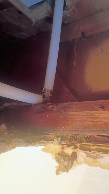 Responded to upstairs bathroom shower leak affecting first floor ceiling. Upon arrival, water supply was already shut off with no standing water present. Accessed ceiling cavity below upstairs bathroom to locate source of leak. Inspection revealed active leak at PVC drain piping connection point serving shower fixture. Observed water damage and staining on wooden framing members and ceiling joists from prolonged moisture exposure. Identified compromised brass compression fitting on white PVC drain line as primary leak source. Documented existing conditions including damaged drywall, exposed plumbing infrastructure, and deteriorated ceiling materials. Assessed structural impact to wooden framing and extent of water infiltration into first floor ceiling space.