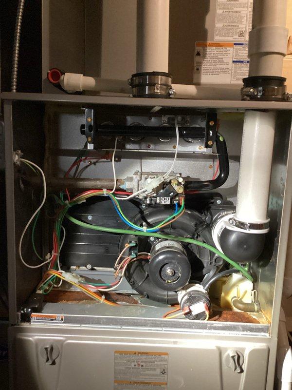 Chemically cleaned two A/C condenser coils to remove accumulated dirt and debris, restoring proper airflow and heat transfer efficiency. Removed vines and vegetation that had grown into and around the condenser coils, which were obstructing airflow and potentially damaging the fins. Inspected internal electrical components, capacitor, and wiring connections to ensure proper system operation following the cleaning procedure.