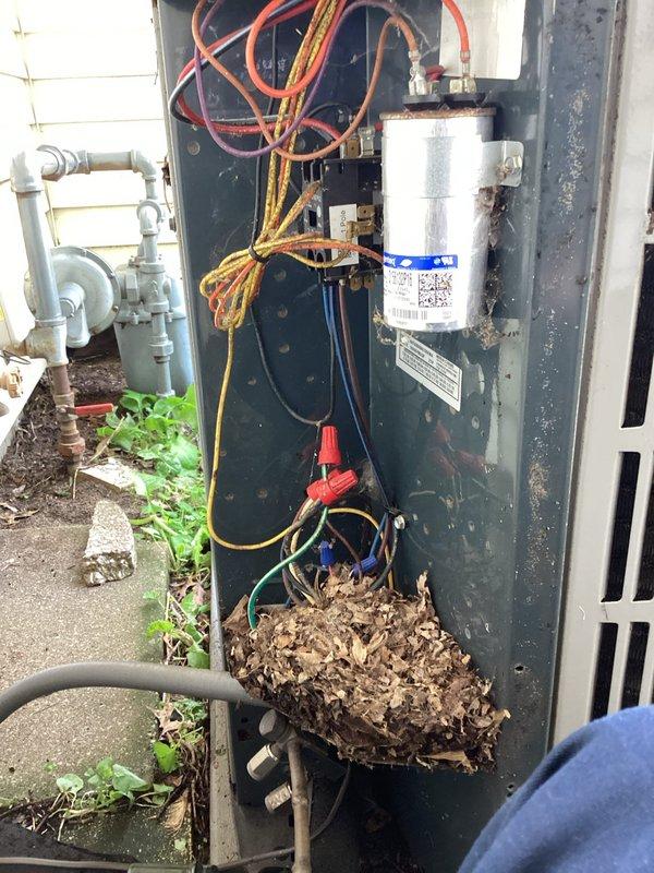 Completed comprehensive preventive maintenance inspection on 9-year-old air conditioning system. Performed standard tune-up procedures including electrical component inspection, capacitor testing, and contactor evaluation. Removed significant accumulation of leaves and organic debris from outdoor unit's electrical compartment and base area to prevent potential airflow restrictions and electrical hazards. Inspected all wire connections, terminals, and hardware for proper operation. Verified capacitor condition and all electrical connections secure despite visible surface corrosion on housing. System operating within normal parameters with no immediate repairs required at this time.