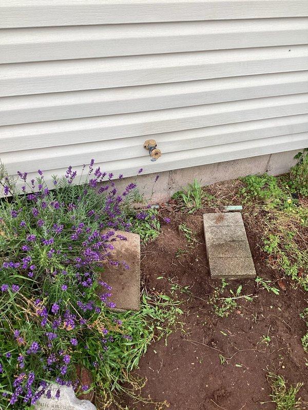 Responded to call for exterior wall leak occurring only when front yard hose spigot was operated. Conducted diagnostic inspection of outdoor spigot assembly and traced water intrusion path. Investigation revealed leak originating from failed connection or damaged pipe behind exterior wall penetration at spigot mounting location. Inspected attic space above affected area to assess potential water damage to insulation and structural components. Documented existing water staining on fiberglass insulation between roof rafters, indicating previous or ongoing moisture intrusion. Examined garden bed area surrounding exterior spigot foundation to identify soil saturation patterns and confirm leak source at wall penetration point. Photographed conditions in attic crawl space showing discolored insulation near HVAC ductwork and exterior landscaping area adjacent to siding where spigot is mounted. Provided assessment findings and repair recommendations to address failed plumbing connection at hos