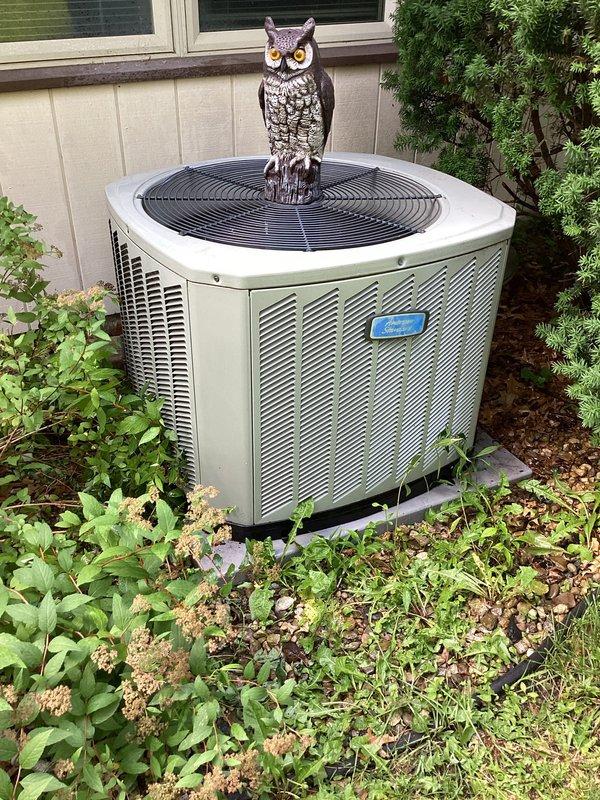 Responded to no cooling complaint with thermostat set to 70°F and indoor temperature at 83°F. Upon inspection, found failed dual run capacitor on outdoor condensing unit with visible corrosion at terminal connections and physical deterioration. Replaced defective capacitor with manufacturer-specified component, verified proper compressor and condenser fan motor operation, and confirmed system returned to normal cooling cycle with appropriate temperature differential across evaporator coil.
