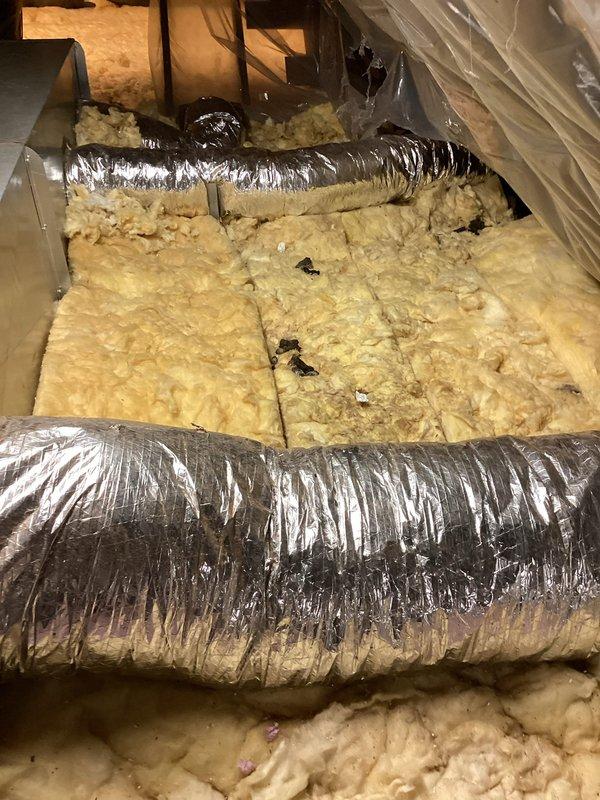 Responded to no cooling call and performed system diagnostics. Inspected air handler unit in attic space, examining ductwork installation, insulation integrity, and internal components including heat exchanger and electrical connections. Documented existing conditions with photos showing flexible duct runs through attic insulation and interior cabinet components with visible wiring harnesses and warning labels.