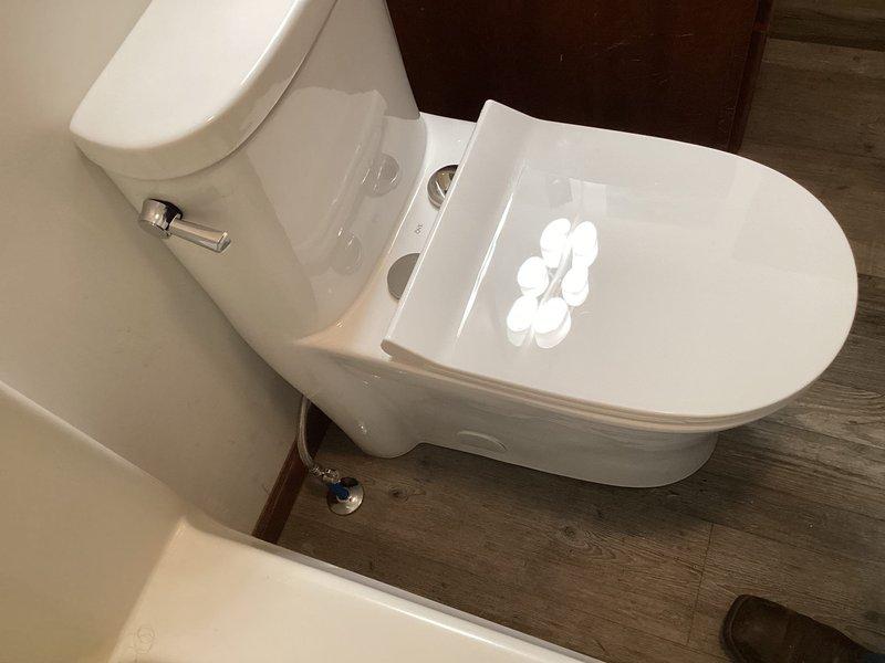Removed and replaced existing toilet with new white porcelain unit featuring standard oval bowl design and chrome flush handle. Installation completed on wood-look vinyl plank flooring in residential bathroom setting. New toilet properly secured, sealed, and tested for functionality and proper flushing operation.
