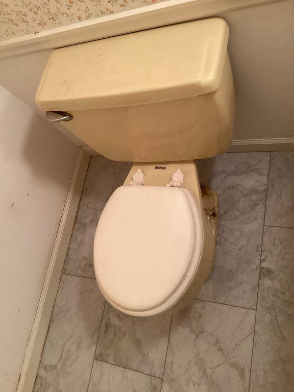 Responded to service call for leaking toilet. Upon inspection, found significant mineral buildup and sediment accumulation in tank affecting flush valve operation. Removed tank lid and assessed internal components including pressure-assisted flush mechanism, fill valve assembly, and associated hardware. Identified deteriorated tank components and mineral deposits as source of leak. Cleaned internal surfaces, replaced faulty flush valve assembly and fill valve components, and verified proper water level adjustment. Tested flush operation multiple times to confirm leak was resolved and all components functioning correctly. Left fixture in proper working order with no active leaks detected.