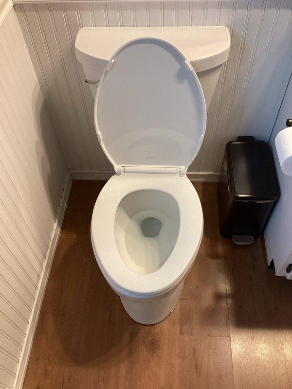 Replaced Pfister shower cartridge in master bathroom shower and installed customer-supplied toilet. Removed existing shower cartridge by unthreading retainer ring and flange, which required careful removal due to caulking adhered to tile surface. Completed installation of new toilet with proper sealing and verified all fixtures for proper operation and leak-free performance.