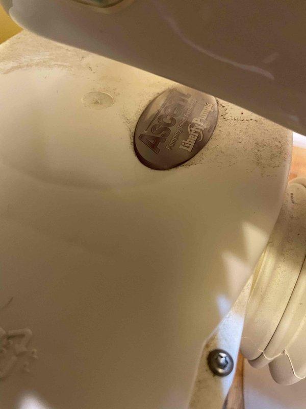 Responded to service call for failed sewage ejector pump serving basement bathroom with complete system failure and sewage backup. Upon arrival, confirmed macerator pump unit was non-operational with no power cycling or mechanical function. Inspected ASCO toilet fixture and associated white plastic macerator pump assembly installed on bamboo flooring. Evaluated all plumbing connections including braided stainless steel water supply line, white PVC drainage pipes, and black discharge hose with clamps. Verified electrical supply was intact with no tripped breakers. Diagnosed complete pump motor failure requiring replacement. Photographed existing installation showing pump configuration, piping layout, and toilet fixture for documentation and replacement specifications.