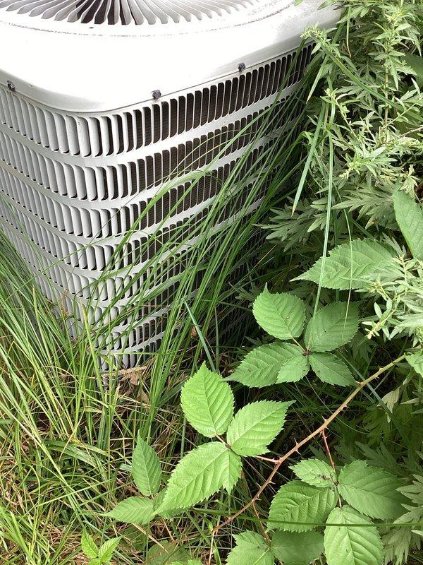 Completed scheduled AC tune-up on 9-month-old air conditioning system. Performed standard preventive maintenance procedures including inspection of condensing unit, verification of operational parameters, and system performance evaluation. Noted significant vegetation overgrowth around outdoor unit restricting airflow to condenser coils; documented condition with photos for customer awareness and recommended clearance of plants to maintain proper equipment ventilation and efficiency.