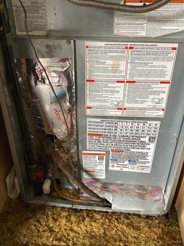 Completed planned furnace maintenance inspection on residential HVAC system. Performed comprehensive visual inspection of unit exterior, verified all manufacturer labels and safety instructions were intact and legible, and examined refrigerant line connections at unit base for proper installation and signs of wear. Inspected interior components including copper refrigerant lines, red valve assembly, and associated piping for corrosion, oxidation, and operational integrity. All components found to be functioning within normal parameters with age-appropriate patina on copper lines. Unit operational and ready for continued service.