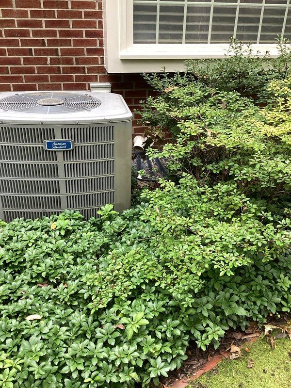 Completed annual Diamond Single maintenance service including furnace inspection and water heater flush. Removed accumulated debris and dried leaves from around HVAC system components and base of vertical piping near mechanical unit venting. Inspected outdoor condenser unit positioned on concrete pad near foundation; confirmed proper clearance and airflow despite dense groundcover vegetation surrounding equipment. All systems operational upon completion of scheduled maintenance tasks.