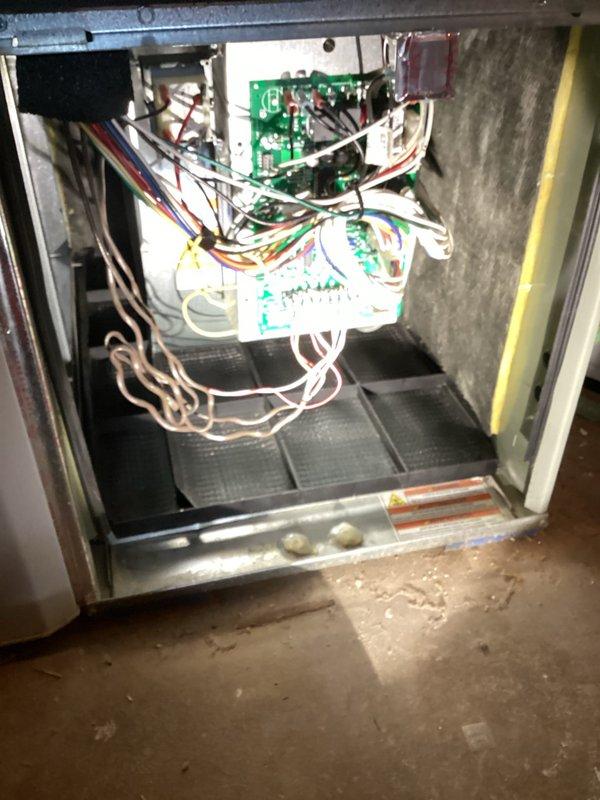 Performed a one-time planned maintenance on the gas furnace, including a full diagnostic evaluation covering safety inspection, electrical readings (voltage, amp draw, capacitor), indoor blower and vent motor checks, ignition system, and gas pressure verification. Noted dirty air filter and humidifier requiring attention, and observed debris accumulation in the lower cabinet compartment. Boot covers were worn throughout the visit per customer request.