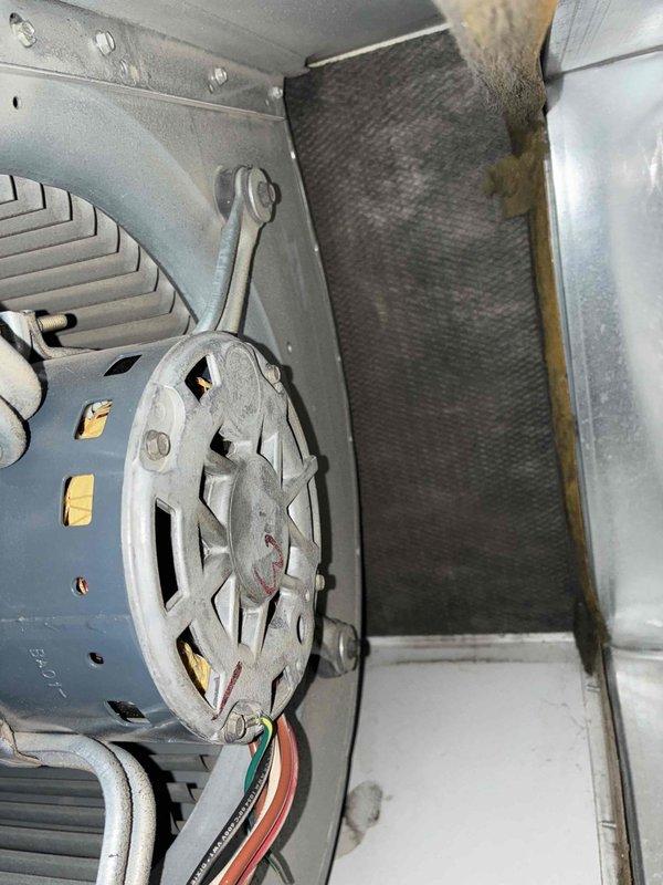 Performed standard heating tune-up for new homeowners using promotional inspection coupon. Inspected blower motor assembly and found significant dust accumulation on both motor components and air filter. Cleaned motor assembly and replaced heavily soiled air filter to restore proper airflow and system efficiency.