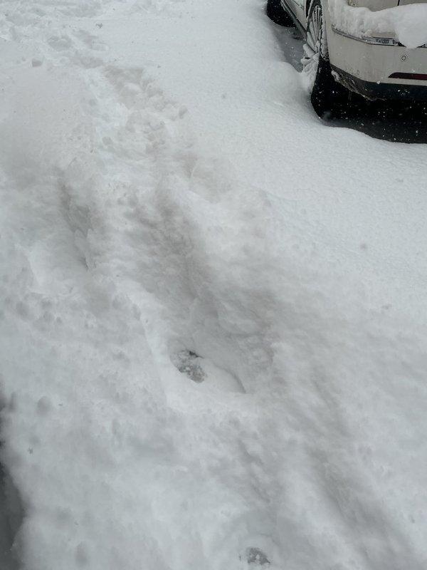 Responded to service call for a non-resetting humidistat. Customer had previously replaced water panels and successfully reset two of three humidistats, but third unit remained unresponsive despite remote troubleshooting. Conducted on-site inspection of the HVAC system including furnace unit, ductwork, and all three humidifier installations to diagnose the persistent reset issue.