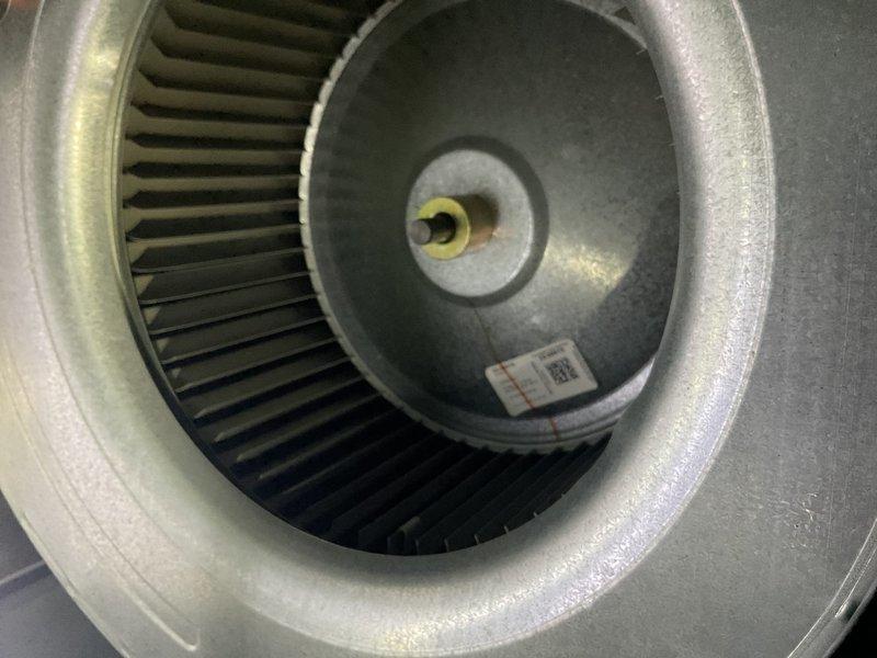 Performed routine heating maintenance service on unit. Inspected interior components including blower assembly and electrical connections. Visual examination of squirrel cage fan revealed proper installation with no visible debris or damage.