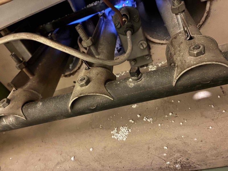 Performed routine tune-up on approximately 20-year-old furnace. Inspected and cleaned blower wheel assembly which showed accumulated dust between fins. Examined gas piping connections and fittings for proper installation and function. System operational after service.