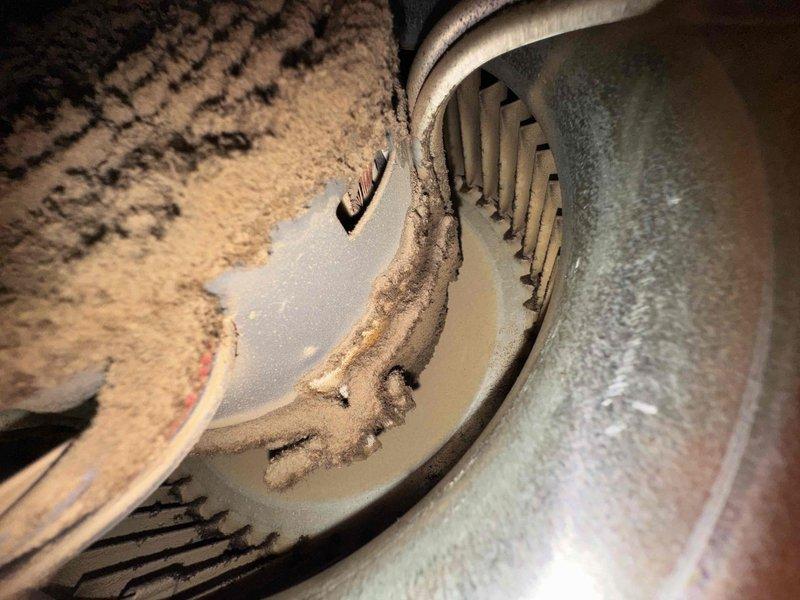 Performed scheduled heating tune-up on gas furnace system located in basement utility room. Discovered significant dust and debris accumulation on blower assembly affecting operational efficiency. Thoroughly cleaned blower wheel and housing to restore proper airflow and system performance.