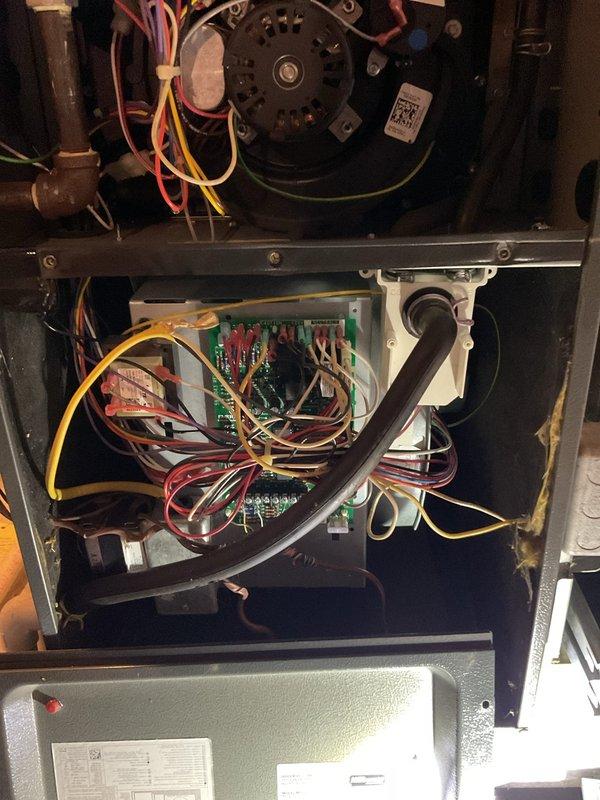 Performed routine maintenance on heating system prior to customer's extended absence. Inspected and cleaned basement-mounted humidifier system with associated PVC and copper piping. Examined furnace interior components including blower motor assembly, circuit board connections, and condensate drainage system - all components found in proper working order with no issues requiring repair.