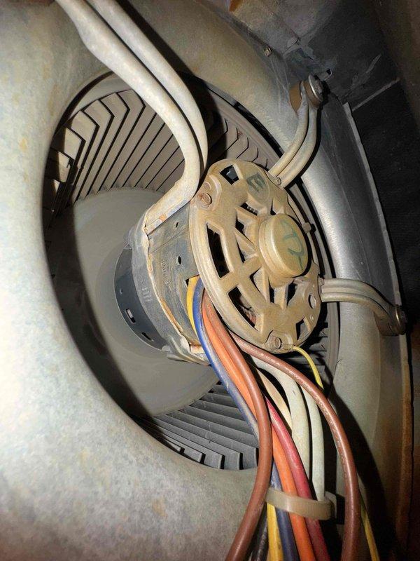 Responded to service call regarding furnace issues after frozen gas line incident. Upon inspection of the combustion assembly and blower motor, confirmed gas company had resolved the initial pressure problem. Performed courtesy check of system operation, verified proper gas pressures, and inspected components for potential damage caused by the freeze event. All systems now functioning normally.