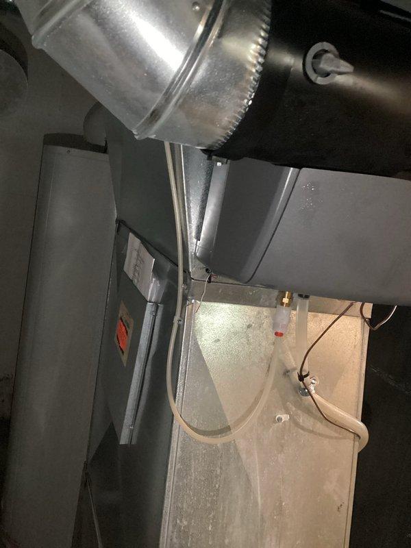 Responded to emergency call for water heater failure with significant water leakage on floor. Diagnosed faulty water heater under manufacturer's parts warranty. Replaced defective components and restored proper hot water function after cleaning up water spillage.