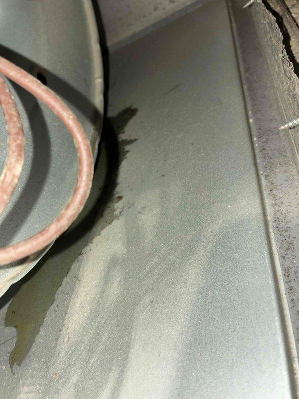 Performed routine maintenance on furnace system. Inspected copper refrigerant lines and connections for leaks. Conducted temperature measurements using UEi digital testing equipment to verify proper system operation.