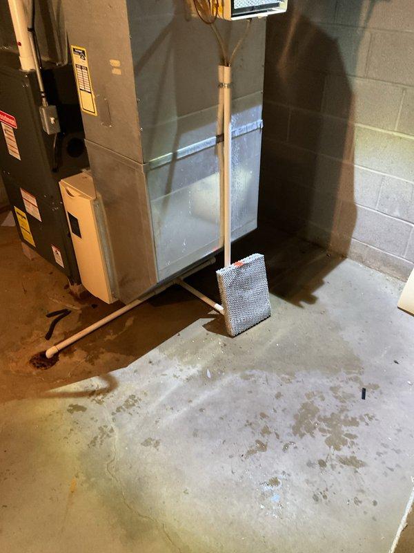 Responded to customer's basement water leak concern originating from dehumidifier. Upon inspection, discovered moisture accumulation around HVAC system with visible water staining on concrete floor. Identified clogged condensate drain line with debris buildup in filter assembly as source of overflow; cleared blockage and verified proper drainage function.