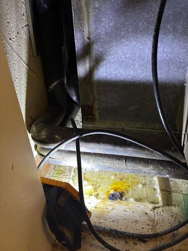 Performed full system evaluation on aging HVAC equipment. Inspected main ductwork, connection points and associated electrical components in utility space. Noted significant corrosion and rust on multiple pipe joints within the mechanical room, particularly on the boiler/chiller unit. Provided replacement options for the deteriorating system.