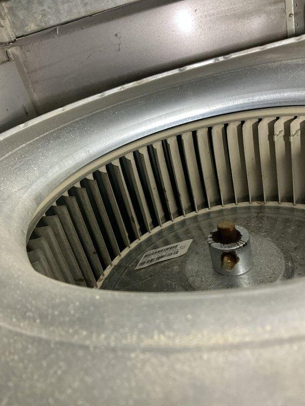 Diagnosed Nest thermostat communication issue showing "No Power to Rh wire" error and inadequate heating performance. Inspected furnace (10+ years old) and found significant dust accumulation on blower wheel requiring cleaning. Performed comprehensive system maintenance including blower assembly service, which resolved the thermostat communication problems and restored proper heating function.