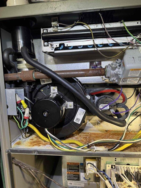 Responded to no-heat service call for an aging furnace system. Upon inspection, discovered blower motor failure with visible corrosion at the base of the unit. Replaced defective motor, cleaned electrical connections, and restored system operation after comprehensive testing to ensure proper heating function.