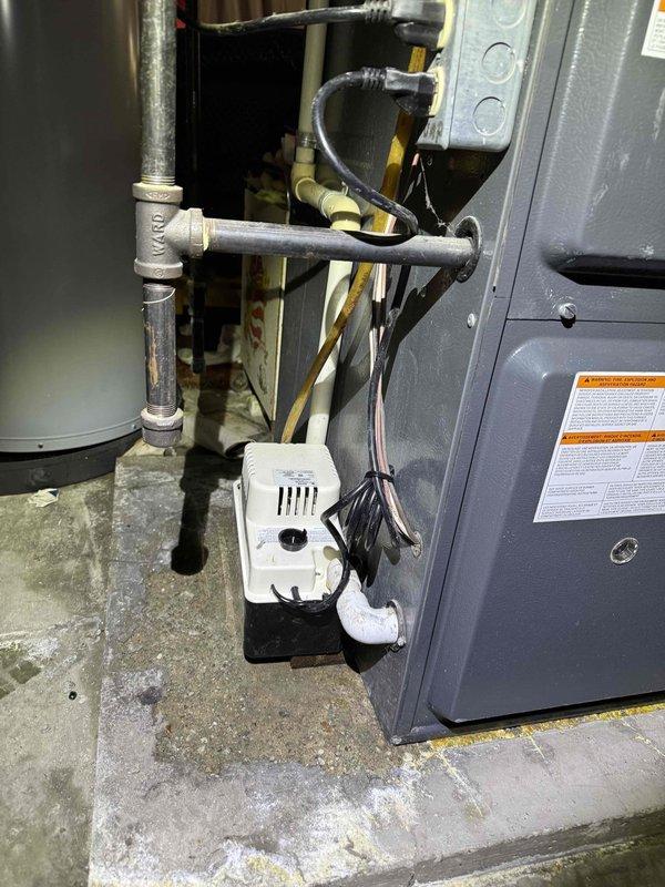 Completed replacement of defective condensate pump and deteriorated humidifier feed tube on residential furnace system. Performed thorough cleaning of blower wheel to remove accumulated debris and improve system efficiency. Visual inspection confirmed proper operation of all components following service.