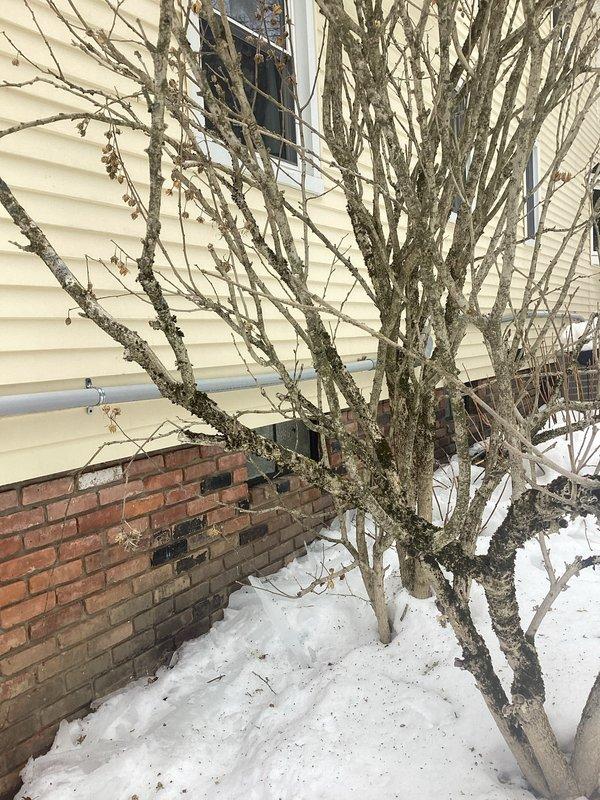 Completed electrical inspection of residential panel and breaker system. Upon inspection, noted that service call appears to have been mischaracterized as the photos show plumbing infrastructure and exterior house conditions unrelated to electrical systems. Recommend scheduling proper electrical inspection.