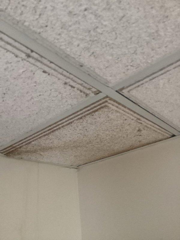 Responded to service call regarding bathroom exhaust fan requiring replacement. Upon inspection of the accessible drop ceiling area, evaluated the existing ventilation system and completed necessary repairs to restore proper exhaust function. Documented condition with photos showing the ceiling access area and exterior vent termination point.