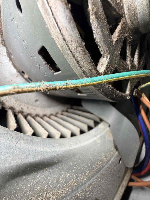 Performed routine maintenance on heating system with focus on blower motor assembly. Removed accumulated dust and debris from motor housing and cooling fins. Inspected electrical connections, noting minor corrosion on wiring harness which was cleaned and secured properly to ensure optimal system performance.