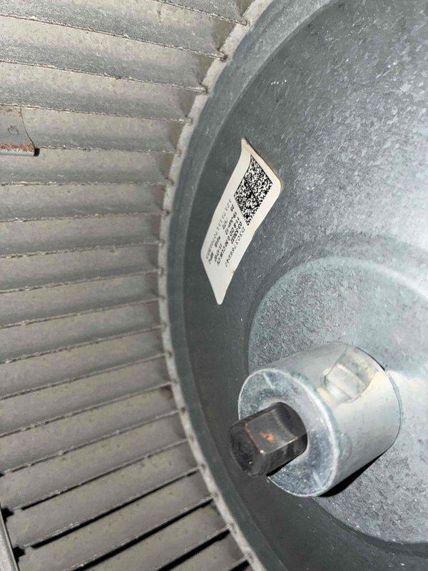 Performed scheduled heating tune-up service, inspecting the blower wheel assembly and ventilation components. Observed normal dust accumulation on the squirrel cage blower and documented with photos for maintenance records.