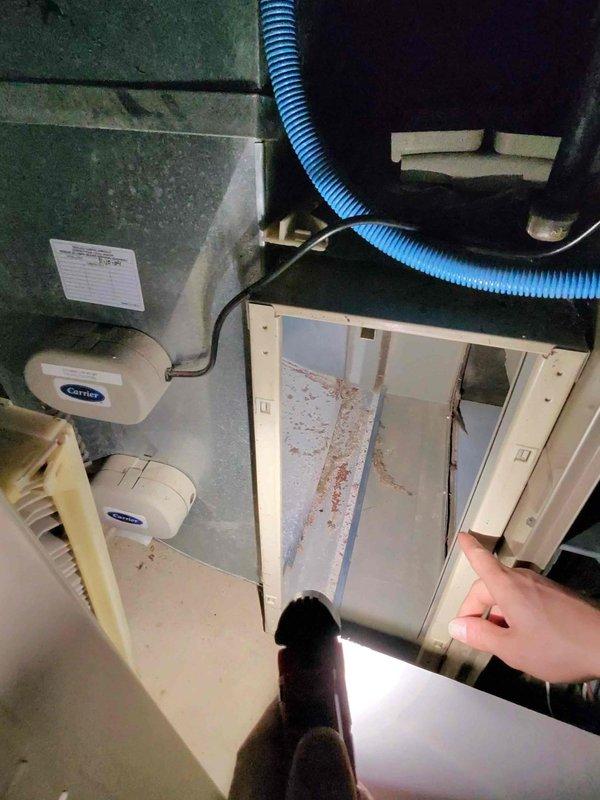 Performed routine heating maintenance on 10+ year old furnace system. Identified significant dust accumulation and reddish-brown staining on filter components requiring replacement. Service revealed electrical and plumbing issues that were documented but not addressed during this maintenance visit.