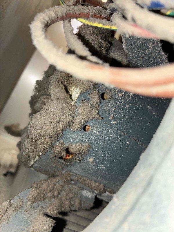 Performed scheduled tune-up on heating system in residence built circa 2005 with original equipment. Inspection revealed significant dust accumulation on components including evaporator coil, copper refrigerant lines, and control wiring. Thoroughly cleaned system to restore proper airflow and efficiency.