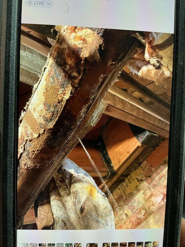 Inspected steam boiler system and found severe pipe corrosion with active leak under kitchen area. Documented extensive deterioration with measurements and photos, noting rust damage to surrounding wooden structural elements. Customer advised that asbestos-wrapped sections cannot be serviced until proper remediation, and temporary leak containment options were discussed pending professional asbestos abatement.