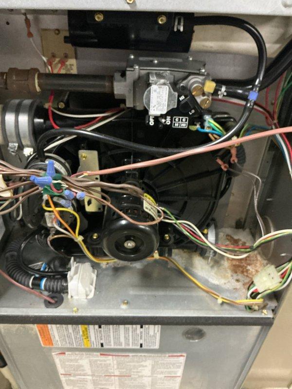 Performed scheduled preventative maintenance on residential heating system. Inspected furnace interior components including gas valve, motor assembly, control board, and wiring connections - all found in working order with minor corrosion noted on lower cabinet. Also examined adjacent Bradford White water heater with expansion tank, confirming proper installation with no leaks or deterioration present.