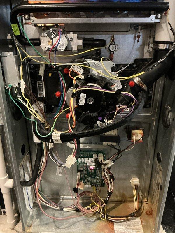 Responded to emergency call for an unresponsive HVAC system with no heat output. Upon inspection of the Ameristar furnace (less than 5 years old), diagnosed electrical connectivity issues affecting the blower motor operation. Repaired faulty wiring connections on the main circuit board, restoring proper functionality to the heating system and confirming normal airflow through all vents.