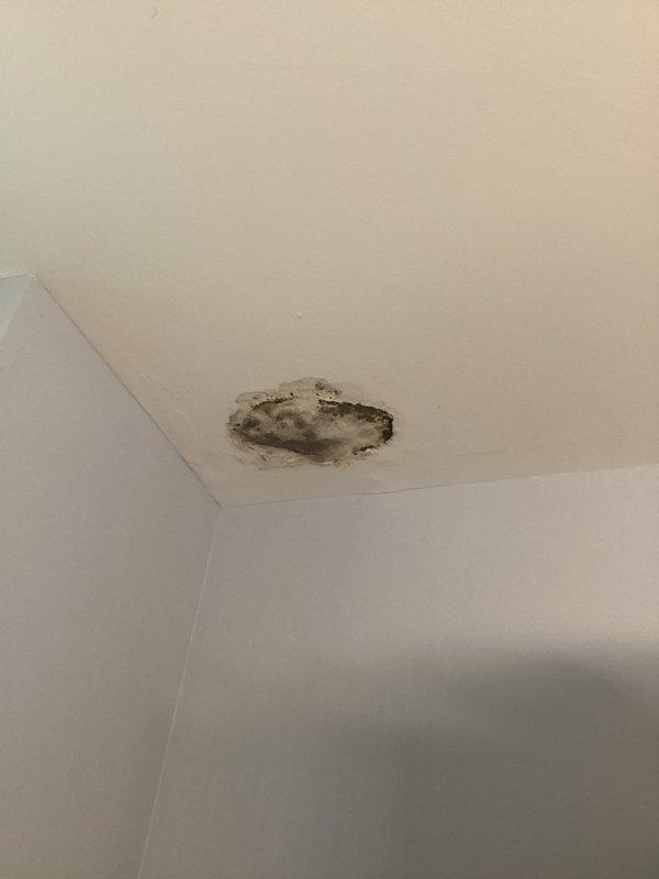 Conducted plumbing inspection identifying significant water damage and ceiling deterioration with potential mold growth in an upstairs room. Traced source to the basement utility area where two water heaters (including a Hydrojet unit) and associated copper and metal piping were examined, though no active leaks were detected in the plumbing system at time of inspection.