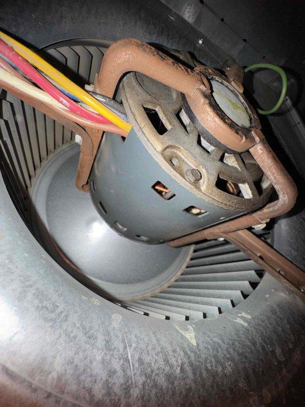 Diagnosed no-heat complaint in furnace under 10 years old, finding condensation on heat exchanger and burner assembly. Inspected blower motor and determined it was operational, but discovered ignition failure due to moisture contamination. Cleaned affected components, verified proper ignition sequence and confirmed normal heat output before completing service.